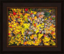 Load image into Gallery viewer, Sacred Grove Autumn From Heaven