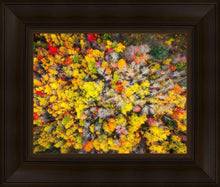 Load image into Gallery viewer, Sacred Grove Autumn From Heaven