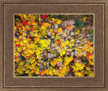 Load image into Gallery viewer, Sacred Grove Autumn From Heaven
