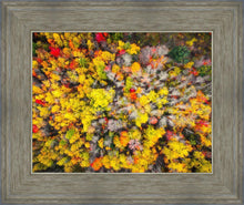 Load image into Gallery viewer, Sacred Grove Autumn From Heaven