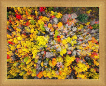 Load image into Gallery viewer, Sacred Grove Autumn From Heaven
