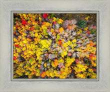 Load image into Gallery viewer, Sacred Grove Autumn From Heaven