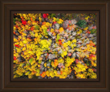 Load image into Gallery viewer, Sacred Grove Autumn From Heaven