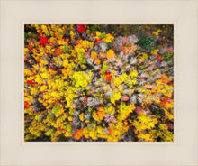 Load image into Gallery viewer, Sacred Grove Autumn From Heaven