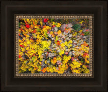 Load image into Gallery viewer, Sacred Grove Autumn From Heaven