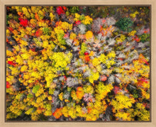 Load image into Gallery viewer, Sacred Grove Autumn From Heaven