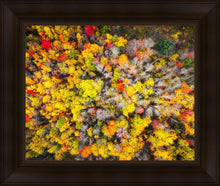 Load image into Gallery viewer, Sacred Grove Autumn From Heaven