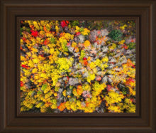 Load image into Gallery viewer, Sacred Grove Autumn From Heaven