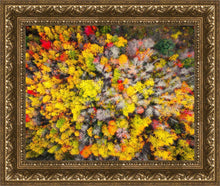 Load image into Gallery viewer, Sacred Grove Autumn From Heaven
