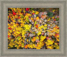 Load image into Gallery viewer, Sacred Grove Autumn From Heaven