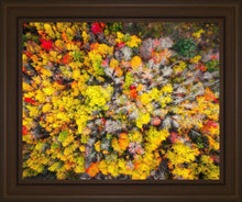 Load image into Gallery viewer, Sacred Grove Autumn From Heaven