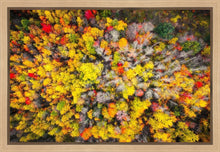 Load image into Gallery viewer, Sacred Grove Autumn From Heaven