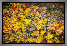 Load image into Gallery viewer, Sacred Grove Autumn From Heaven
