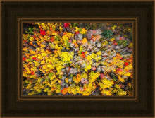 Load image into Gallery viewer, Sacred Grove Autumn From Heaven