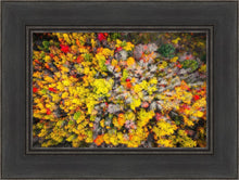 Load image into Gallery viewer, Sacred Grove Autumn From Heaven