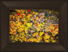 Load image into Gallery viewer, Sacred Grove Autumn From Heaven