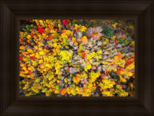 Load image into Gallery viewer, Sacred Grove Autumn From Heaven
