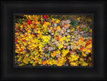 Load image into Gallery viewer, Sacred Grove Autumn From Heaven