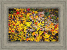 Load image into Gallery viewer, Sacred Grove Autumn From Heaven