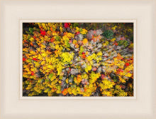 Load image into Gallery viewer, Sacred Grove Autumn From Heaven