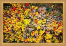 Load image into Gallery viewer, Sacred Grove Autumn From Heaven