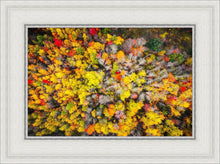 Load image into Gallery viewer, Sacred Grove Autumn From Heaven