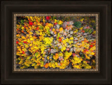 Load image into Gallery viewer, Sacred Grove Autumn From Heaven