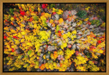 Load image into Gallery viewer, Sacred Grove Autumn From Heaven