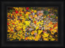 Load image into Gallery viewer, Sacred Grove Autumn From Heaven
