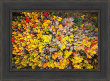 Load image into Gallery viewer, Sacred Grove Autumn From Heaven