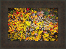 Load image into Gallery viewer, Sacred Grove Autumn From Heaven