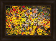 Load image into Gallery viewer, Sacred Grove Autumn From Heaven