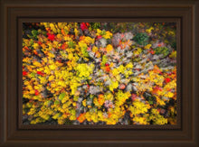 Load image into Gallery viewer, Sacred Grove Autumn From Heaven