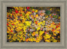 Load image into Gallery viewer, Sacred Grove Autumn From Heaven