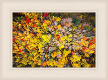 Load image into Gallery viewer, Sacred Grove Autumn From Heaven
