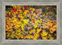 Load image into Gallery viewer, Sacred Grove Autumn From Heaven