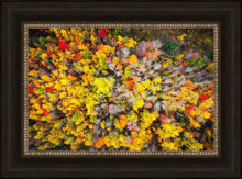 Load image into Gallery viewer, Sacred Grove Autumn From Heaven