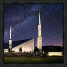 Load image into Gallery viewer, Boise Celestial