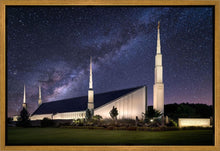Load image into Gallery viewer, Boise Celestial