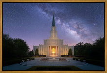 Load image into Gallery viewer, Houston Celestial