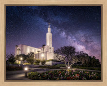 Load image into Gallery viewer, Los Angeles Celestial