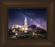 Load image into Gallery viewer, Los Angeles Celestial