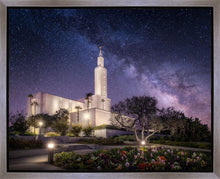 Load image into Gallery viewer, Los Angeles Celestial