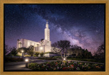 Load image into Gallery viewer, Los Angeles Celestial