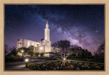 Load image into Gallery viewer, Los Angeles Celestial