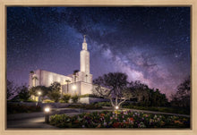Load image into Gallery viewer, Los Angeles Celestial