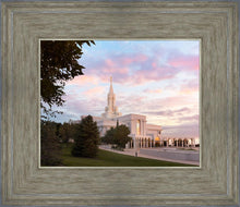 Load image into Gallery viewer, Bountiful Pastel Light