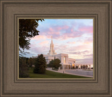 Load image into Gallery viewer, Bountiful Pastel Light