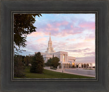 Load image into Gallery viewer, Bountiful Pastel Light