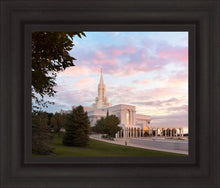 Load image into Gallery viewer, Bountiful Pastel Light